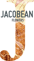 Jacobean flowers